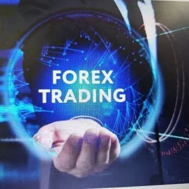 Forex trader