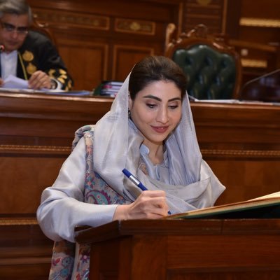 hinaparvezbutt Profile Picture