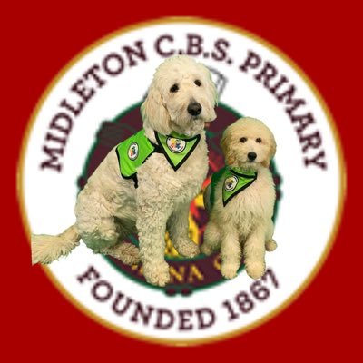 We are a co-educational primary school based in Midleton, Co. Cork. Now enrolling junior infants to 6th class with five Autism classes.