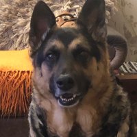Lary Mary 😡 🌹🌹🌹🌹 (@larymary60) 's Twitter Profile Photo Lary Mary 😡 🌹🌹🌹🌹 (@larymary60) 's Twitter Profile Photo