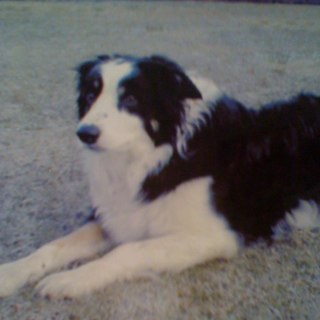 cem8's profile picture. 