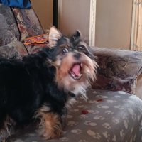 Torsten Rosteck (@rostecktorsten) Twitter profile photo