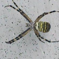 andrzej gil (@gilandrzej2004) 's Twitter Profile