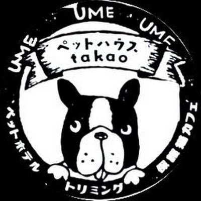 京都府京丹後市/トリミング/ペットホテル
◇ペット美容室 トリマー歴33年 ◇
その子のペースに寄り添ったサービスをご提供させて頂いてます。
open10:00-cloth17:00
 TEL0772-74-0741
水曜定休日(不定休有) 
🎈ご予約→https://t.co/v6Wjkn1lcu
動取業保管070