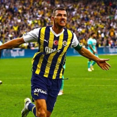 @Fenerbahce 💛💙