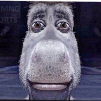 idk (@buffalocali) 's Twitter Profile