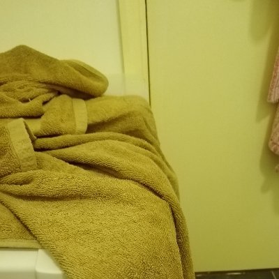 JackDized's profile picture. 