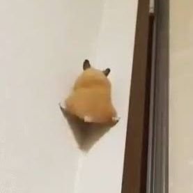 original_pman's profile picture. なんだか気が萎えた  活動休止します