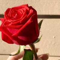 🇸🇦الخالدية🇸🇦 (@ashrgt0) 's Twitter Profile Photo 🇸🇦الخالدية🇸🇦 (@ashrgt0) 's Twitter Profile Photo