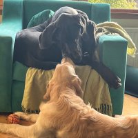 Gillian Hepburn (@gilhepburn) 's Twitter Profile Photo