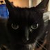 Dale Hughes (@copyingdogs) Twitter profile photo Dale Hughes (@copyingdogs) Twitter profile photo