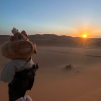 がぶ (@gaburi45cc) 's Twitter Profile Photo がぶ (@gaburi45cc) 's Twitter Profile Photo