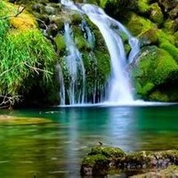 Let us build a Healthy, Clean & Just world 4 ALL ! (@hjusticese84303) 's Twitter Profile