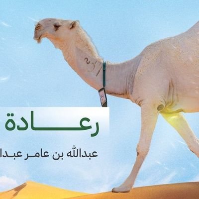 ومن لا يقلط..شذرة السيف والكيس
تبدي عليه..من الليالي ثلومي

#مالك إبل

#عام الإبل 2024