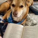 Danielle Box - @adanib4 - Twitter