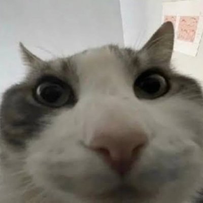 JimmeeNotGG's profile picture. alt/non professional twitter