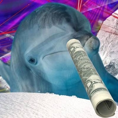 the crazy dolphin who likes ❄️ and 👉👌
community takeover ❄️
https://t.co/aIj3ux645T
CA: D8WwcUmF5fTer6Kp1P9itejkVzHzJhJjaMRvBpV3Q4A7