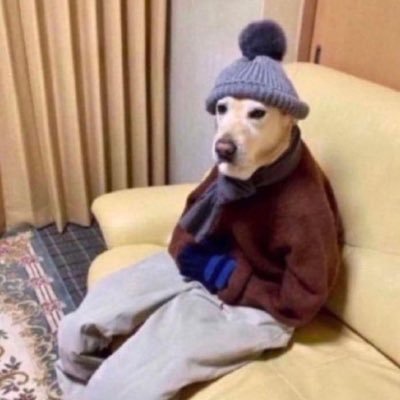 bfw6869's profile picture. 