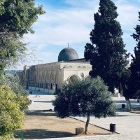 Saadiyaa🌿 (@saadiya284888) 's Twitter Profile