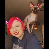 Alice Lees (@thealicelees) 's Twitter Profile