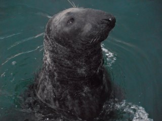 maurice1408's profile picture. 