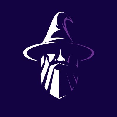 wizardgallery_ Profile Picture