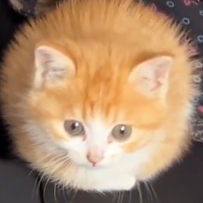 revotheus's profile picture. they/them | adult | mostly retweets
