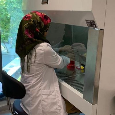 Biyolojikmacera's profile picture. Lisans - OMÜ Biyoloji
Yüksek lisans - İstanbul üniversitesi
Moleküler Kanser Biyolojisi