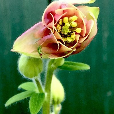 ⏩ follow me on Mastodon: @nic@geno.social ***das hier ist nur noch ein Archiv***