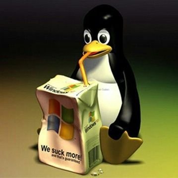 sskindy500's profile picture. 