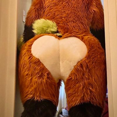 For people who love fursuit ass 🍑 DMs open 👍 18+ im 26, Minors ❌