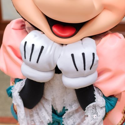 関西｜♡Mickey Mouse ｜ ♡Minnie Mouse ｜👹低浮上｜ほとんど見る専です