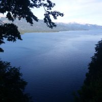 Andrea Pezzarini (@and_dreap) 's Twitter Profile
