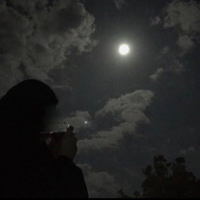 bloy7i's profile picture. 