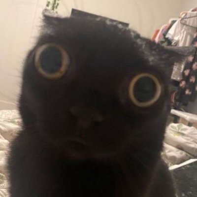 tablefortwo0's profile picture. Adult | 20+ | i am unwell