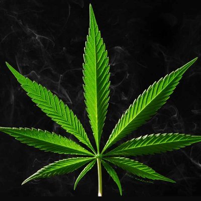 Nicolas35639339's profile picture. 