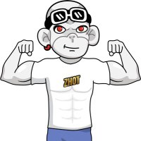 Zhot (@zhot_io) 's Twitter Profile
