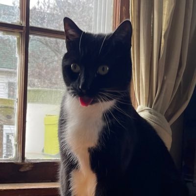 kulijurnos's profile picture. ghouls