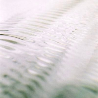 donetoku_'s profile picture. どねとく。