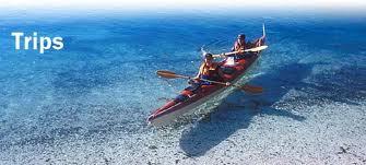 ScubaDivingTrip's profile picture. The world is just awesome ! -DC-