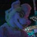 Sebastian (@sebbyhusky) Twitter profile photo Sebastian (@sebbyhusky) Twitter profile photo