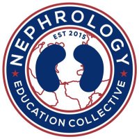 Nephrology Education Collective Internship(@NSMCInternship) 's Twitter Profile Photo