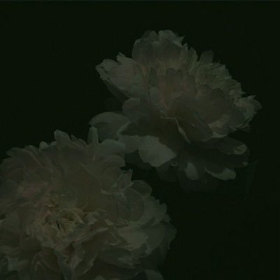 Gh0ulIette_'s profile picture. 