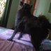 blacky (@prasanthnk5) Twitter profile photo blacky (@prasanthnk5) Twitter profile photo