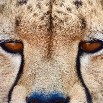 LoganWRees's profile picture. 