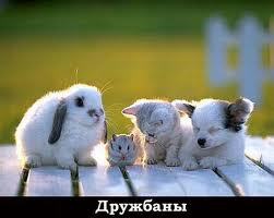 Не умею быть несчастной