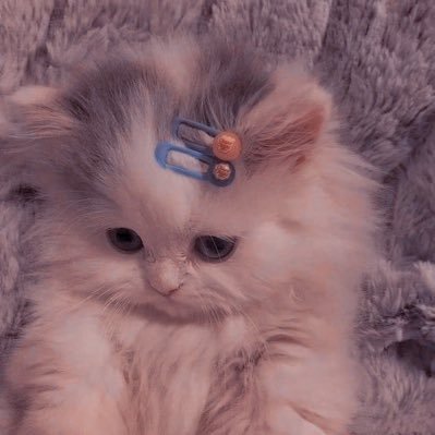 w_dannyy_'s profile picture. nada pra ver aqui