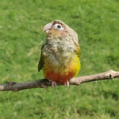 vcjavacgi2's profile picture. abc