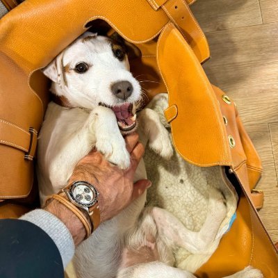 alexwright239's profile picture. GOD FIRST
DAD, SPORTSMAN
DRILLING SPECIALIST