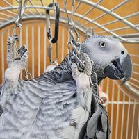 Mary (@spitfiresop) 's Twitter Profile